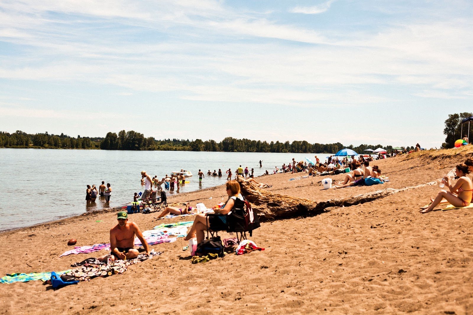 Sauvie Island » Hummingbird High