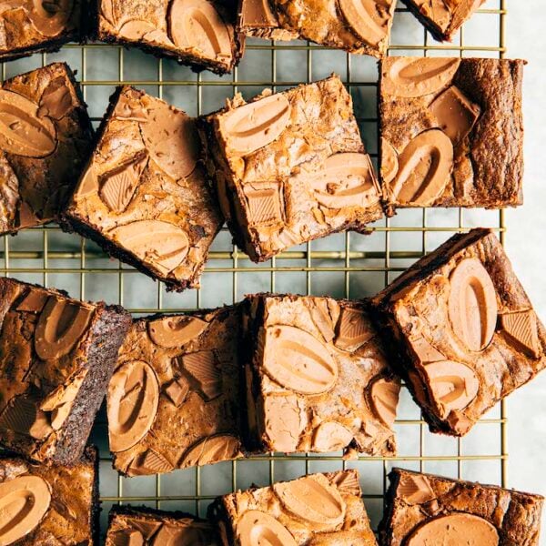 A close up picture of Claire Saffitz brownies.
