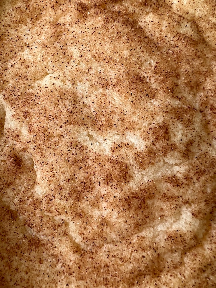 close up photo of snickerdoodle without cream of tartar