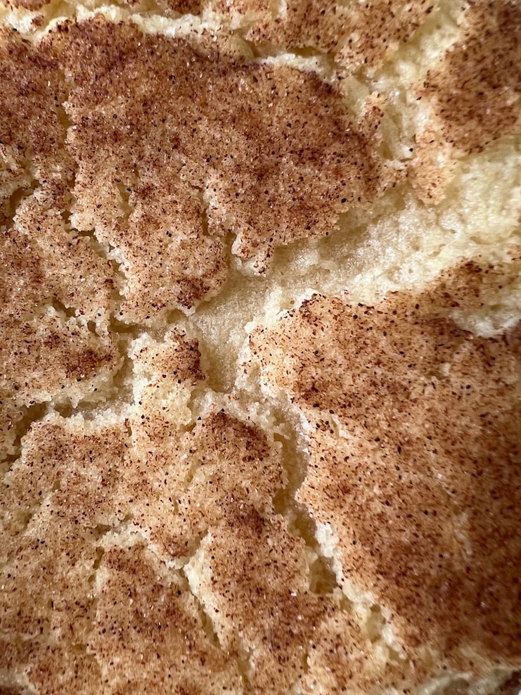 close up photo of snickerdoodle with cream of tartar showing distinctive cracks on cookie texture
