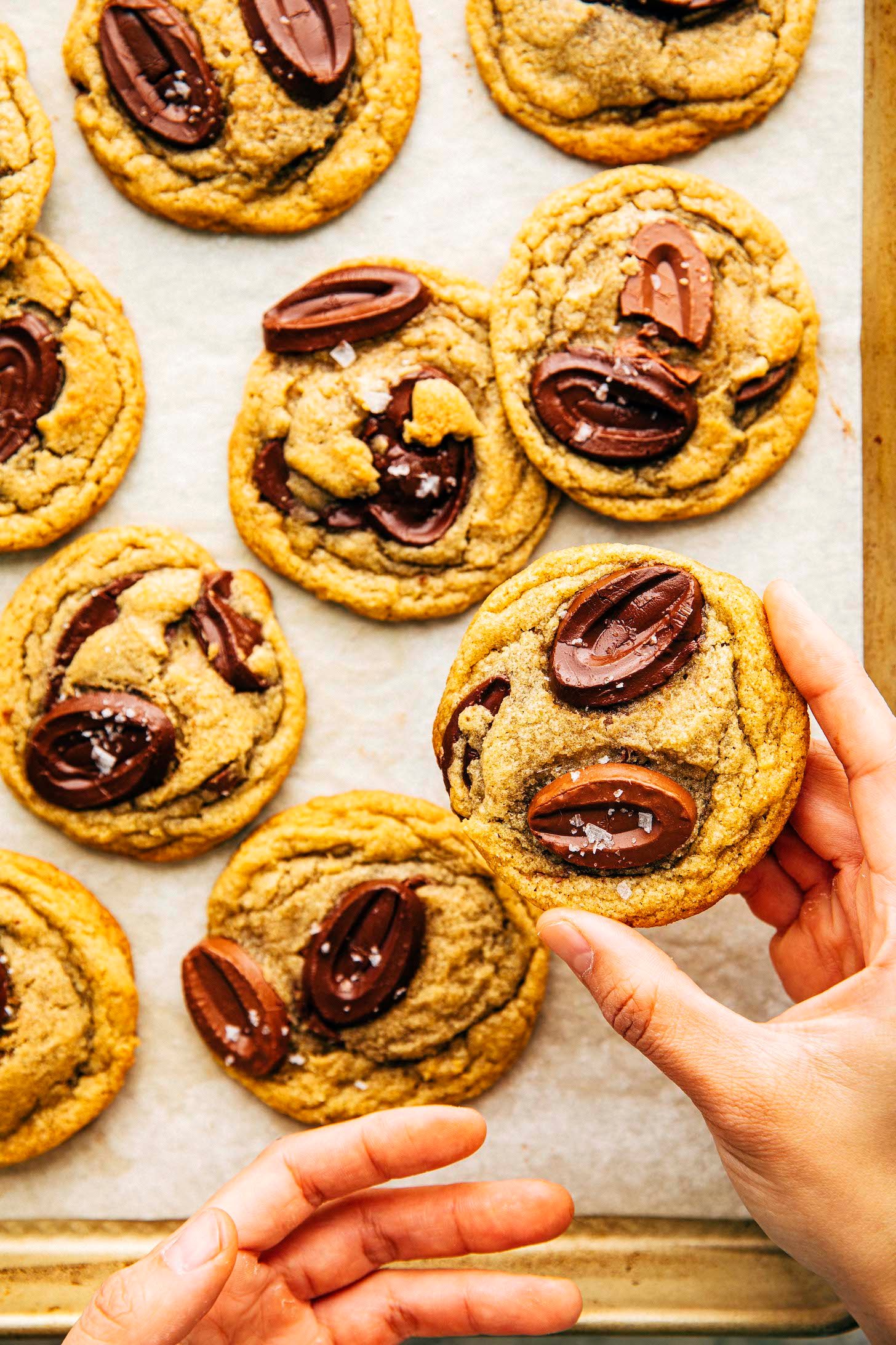 Super Chewy and Nutty Rye Chocolate Chip Cookies » Hummingbird High